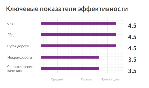 Шипуемые шины для легковых автомобилей11 (1)
